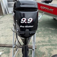 9.9HP 4-Stroke Motor
